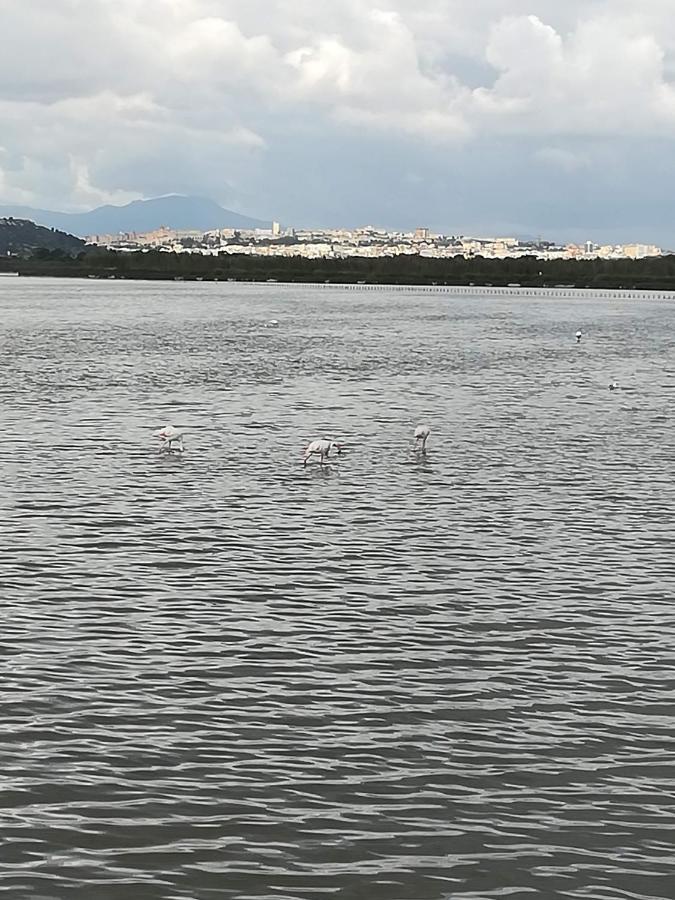 Su Murdegu * Cagliari